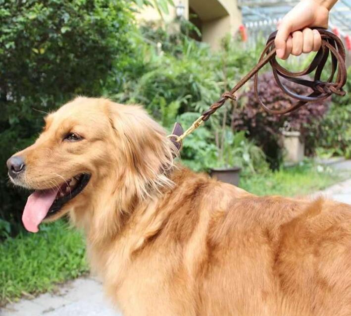 Braided Real Leather Dog Leash pet Walking Training Leads for German Shepherd Golden Retriever Medium Large Big Dogs