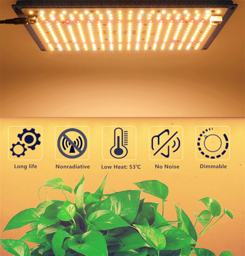 Qkwin updated V2 Quantum board LED Grow Light 240W 120W samsung 301B dimmable LED High PPFD grow light with Veg Bloom modes for Greenhouse grow tent Indoor Lighting