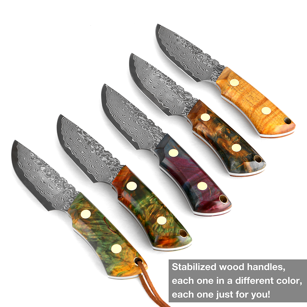 Tang full tang damasco in acciaio coltellino cucina cucina aderente coltello tasca a tasca a tasca manico colorato in legno super affilato