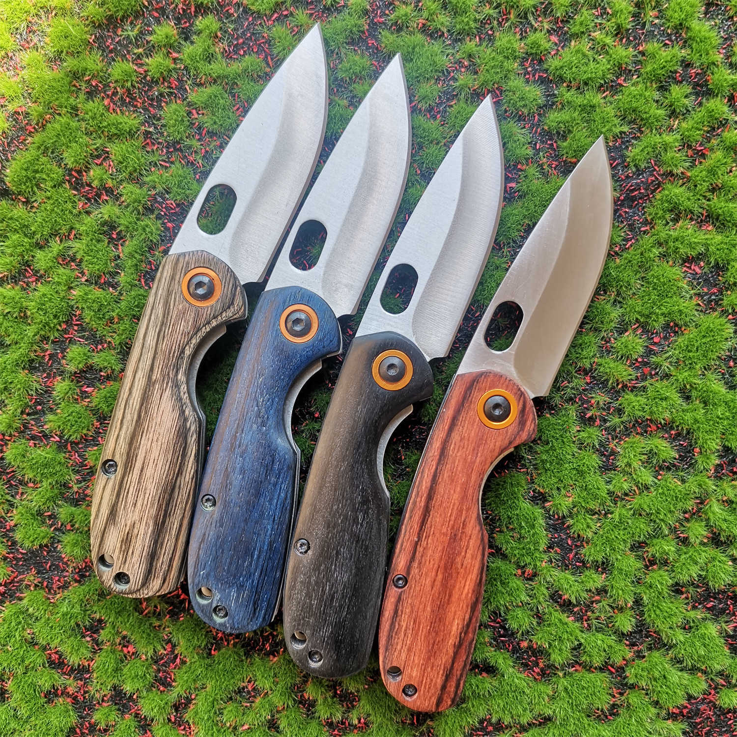 Mini Parrot Outdoor Sharp Folding Knife Creative Wooden Handle Fruit Knife Travel Car Unboxing Knife