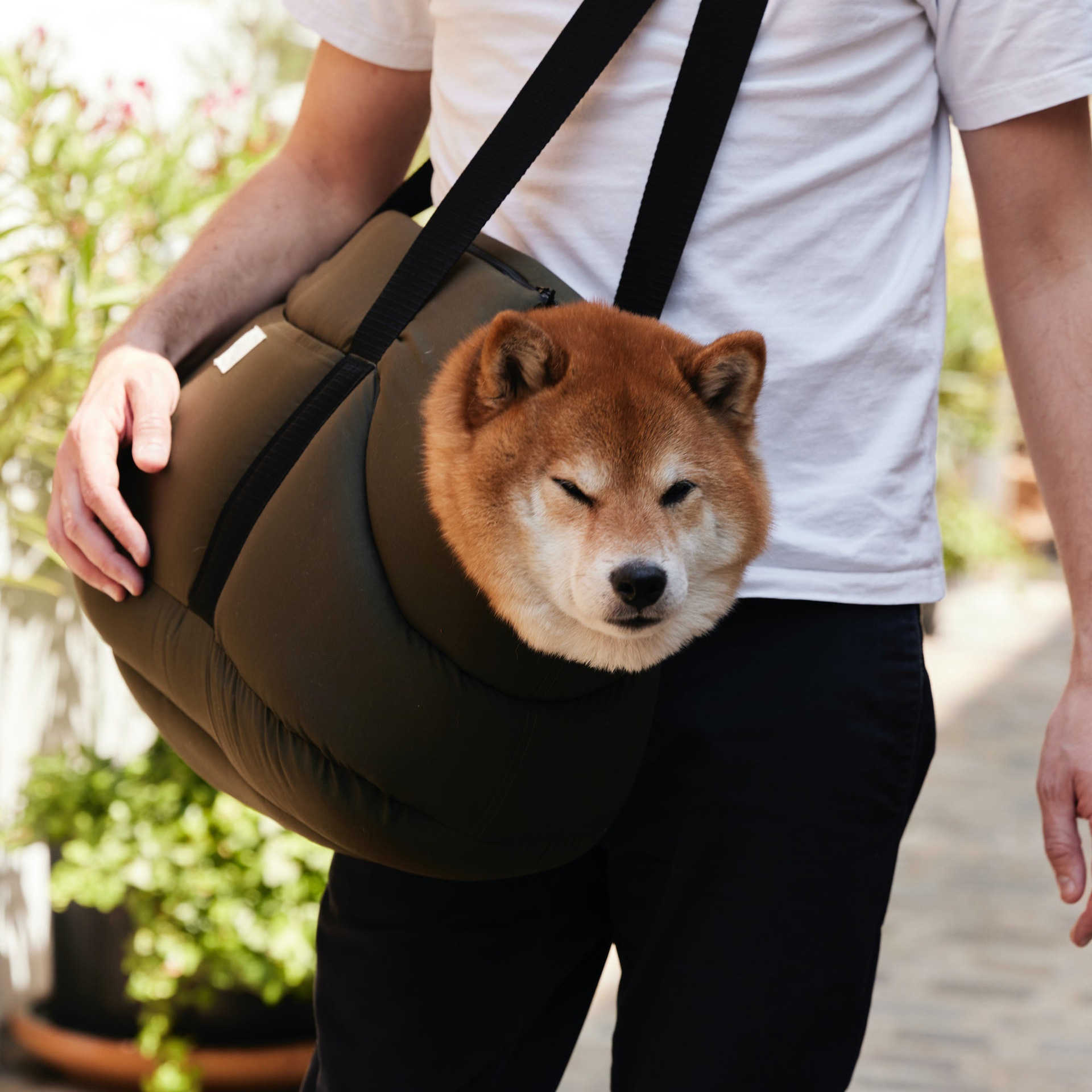 Les animaux de compagnie sortent avec un sac à dos à bandoulière portable, une veste en coton pour chien et chat, confortable, respirant, à bouche ouverte, un sac léger pour animaux de compagnie 230912