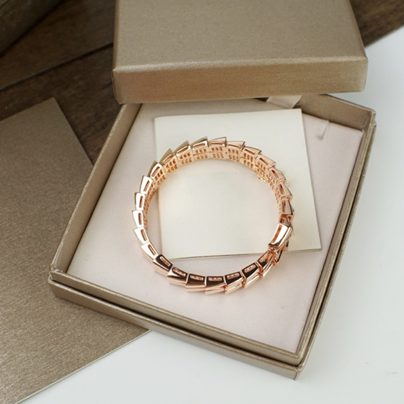 Women Jewelry Bangle Double Loop Snake Shaped Designer Exquisite and Delicate Line Design Copper Inlaid Water Diamond Lady Bracelet