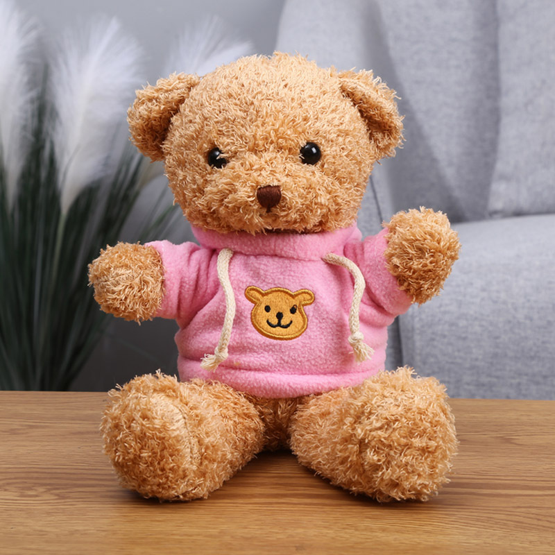 Schattige trui teddybeer poppen doek poppen pluche speelgoedbeer vriendin Valentijnsdag verjaardagscadeau jaarlijkse vergadering cadeau