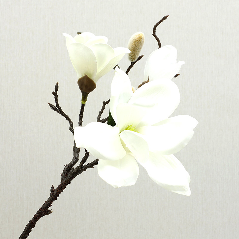 Faux Floral Feel Hydraterende Magnolia Simulatie Bloemen Thuis Woonkamer Tafeldecoratie Bonsai Kunstbloemen
