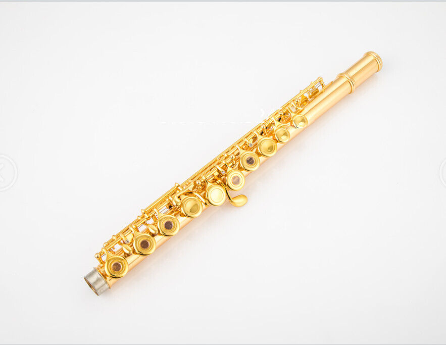 C tune Flute 17 Keys Open Holes Gold Plated Professional Musical Instrument