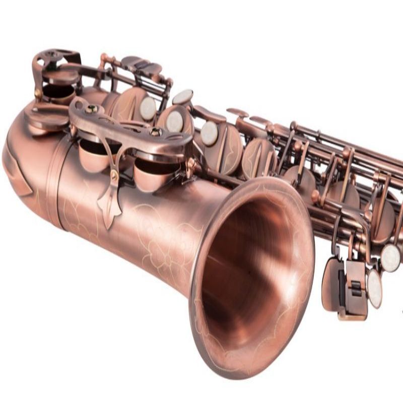 Saxophone Alto Eb courbé en Bronze rouge de haute qualité, Instrument à vent à motif sculpté avec étui de transport