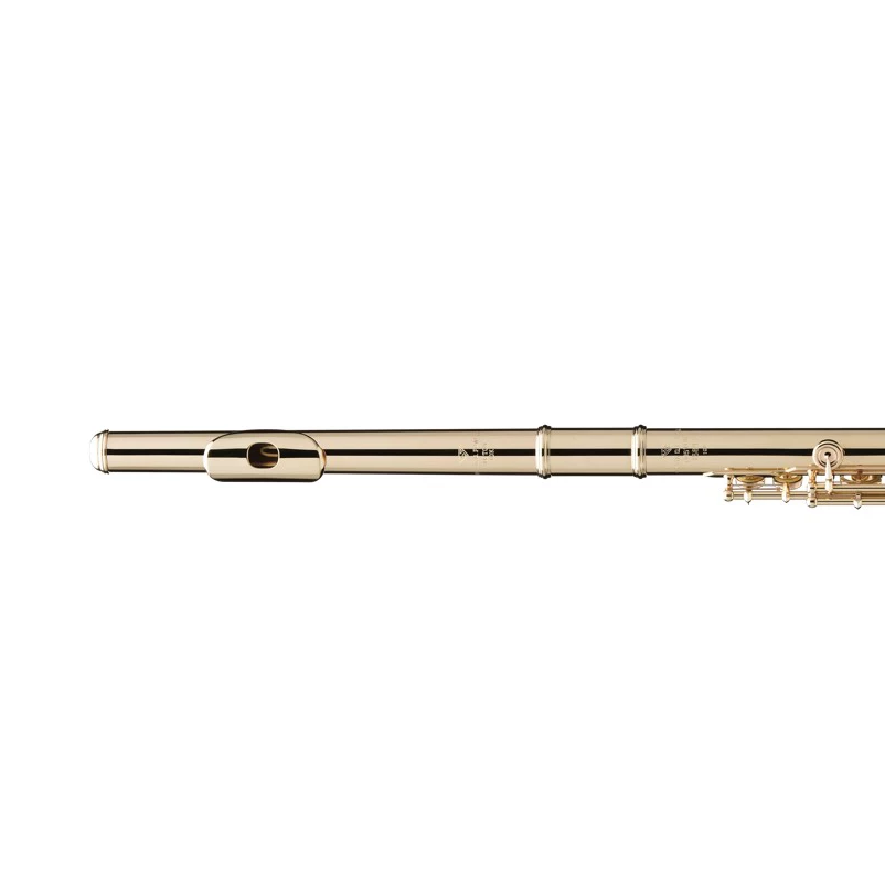 Hoogwaardig verzilverd 17-sleutel fluitgatmachine-instrument