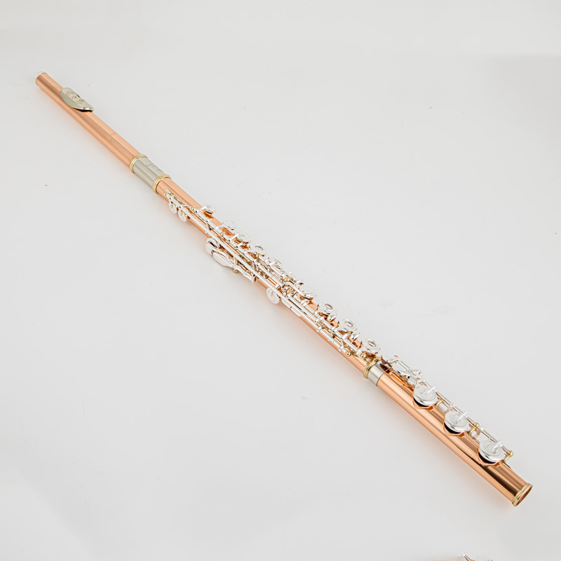 PF-8950ES Flute High Quality Phosphor Bronze 17 Key Flute Open Hole