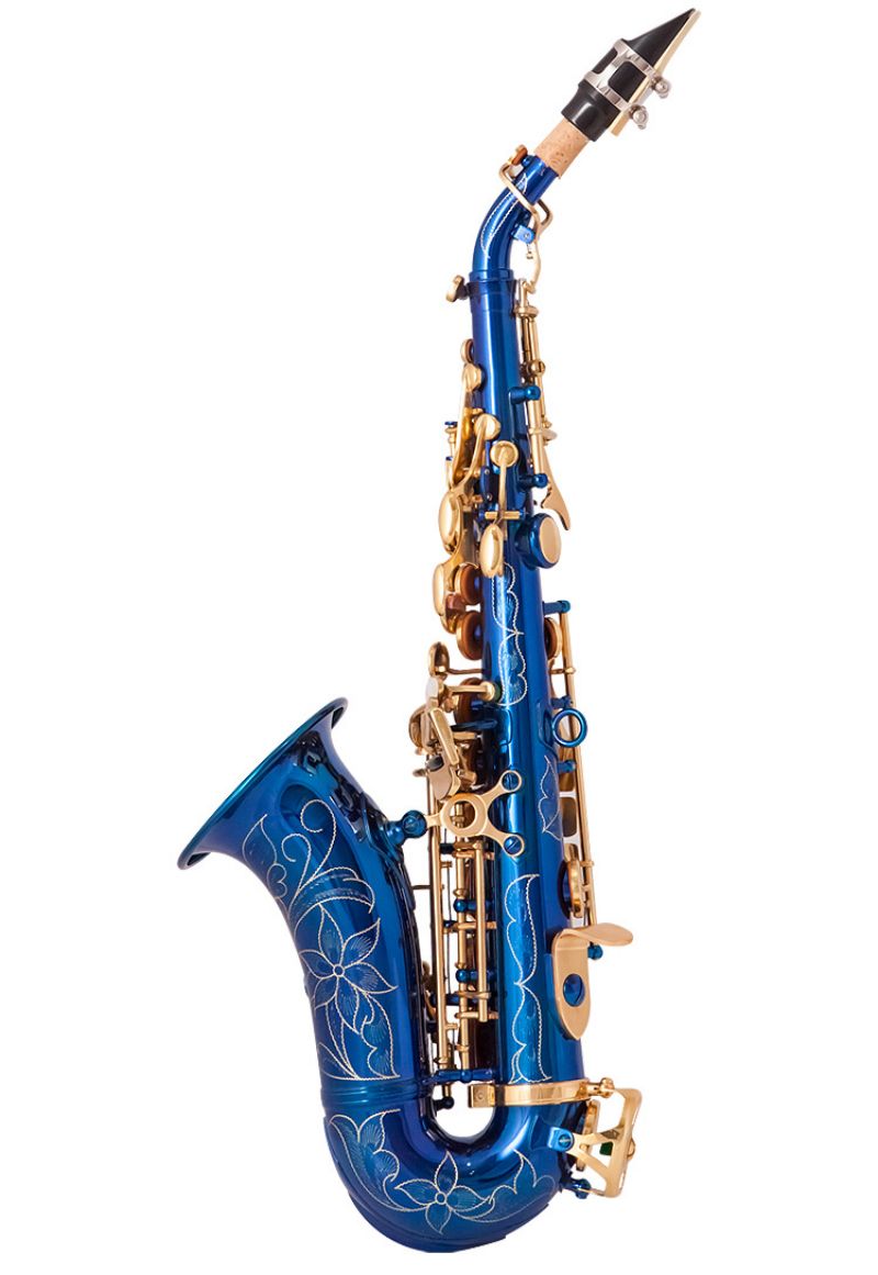 Saxophone Soprano en laiton doré, motif sculpté Bb courbé, alépine, boutons en coquille blanche perle, Instrument à vent