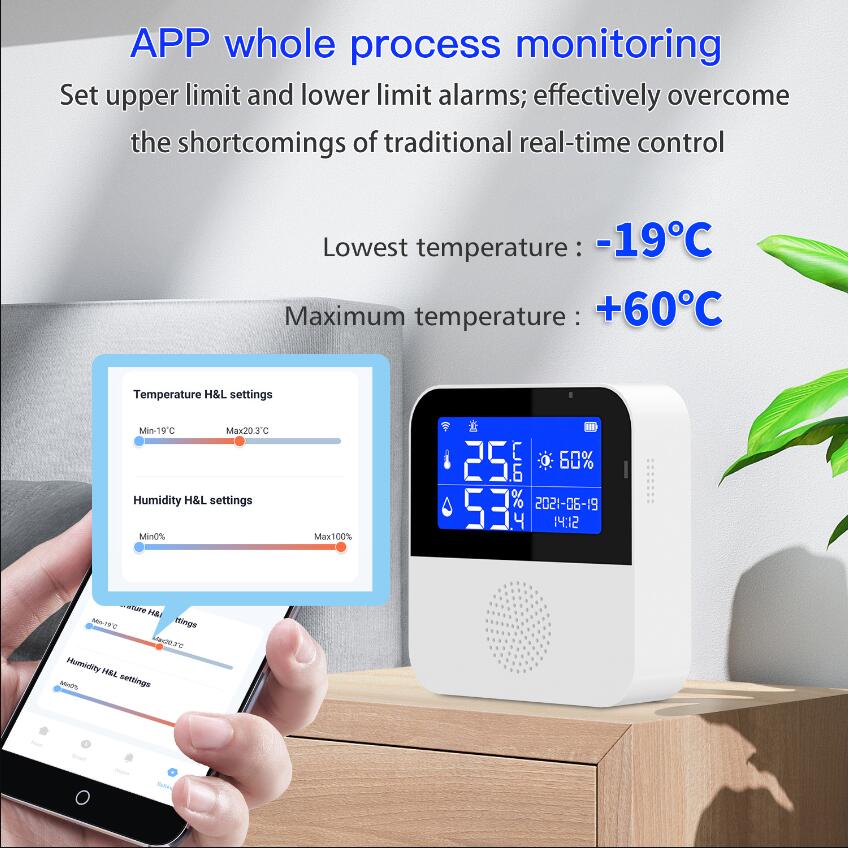 Smart Home Control Temperatursensor Tuya WiFi Licht- und Feuchtigkeitsdetektor Farbbildschirm Thermometersensor Indoor Outdoor