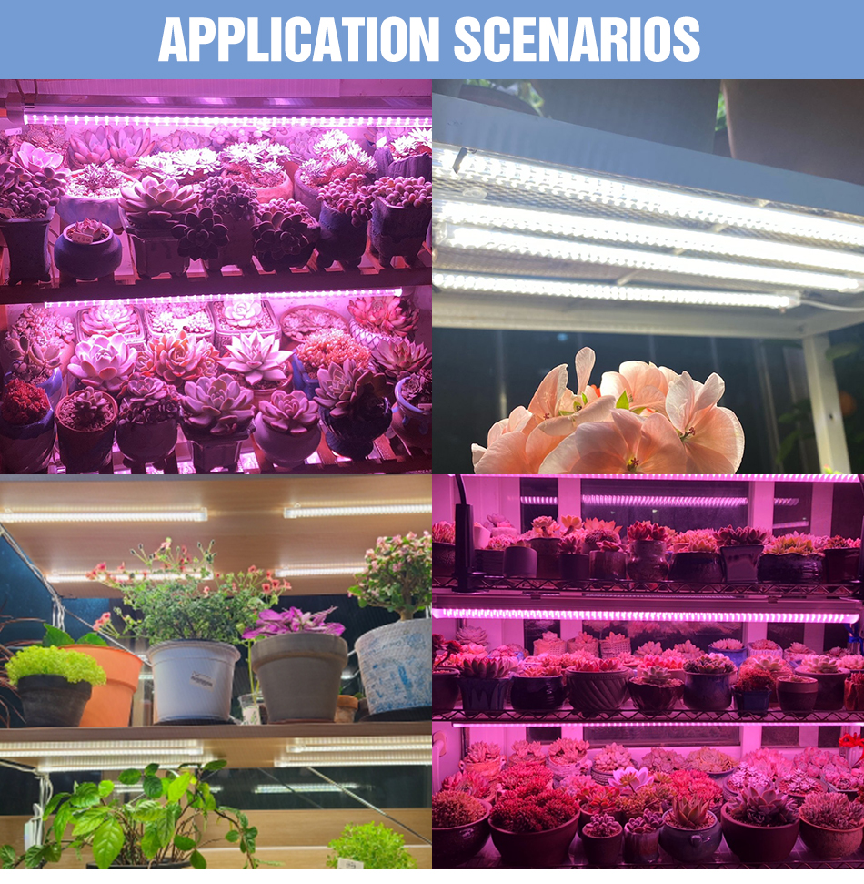 LED Grow Light 220VフルスペクトルPHYTOランプUSB屋内水耕栽培植物苗のために薄暗い花種子成長テント