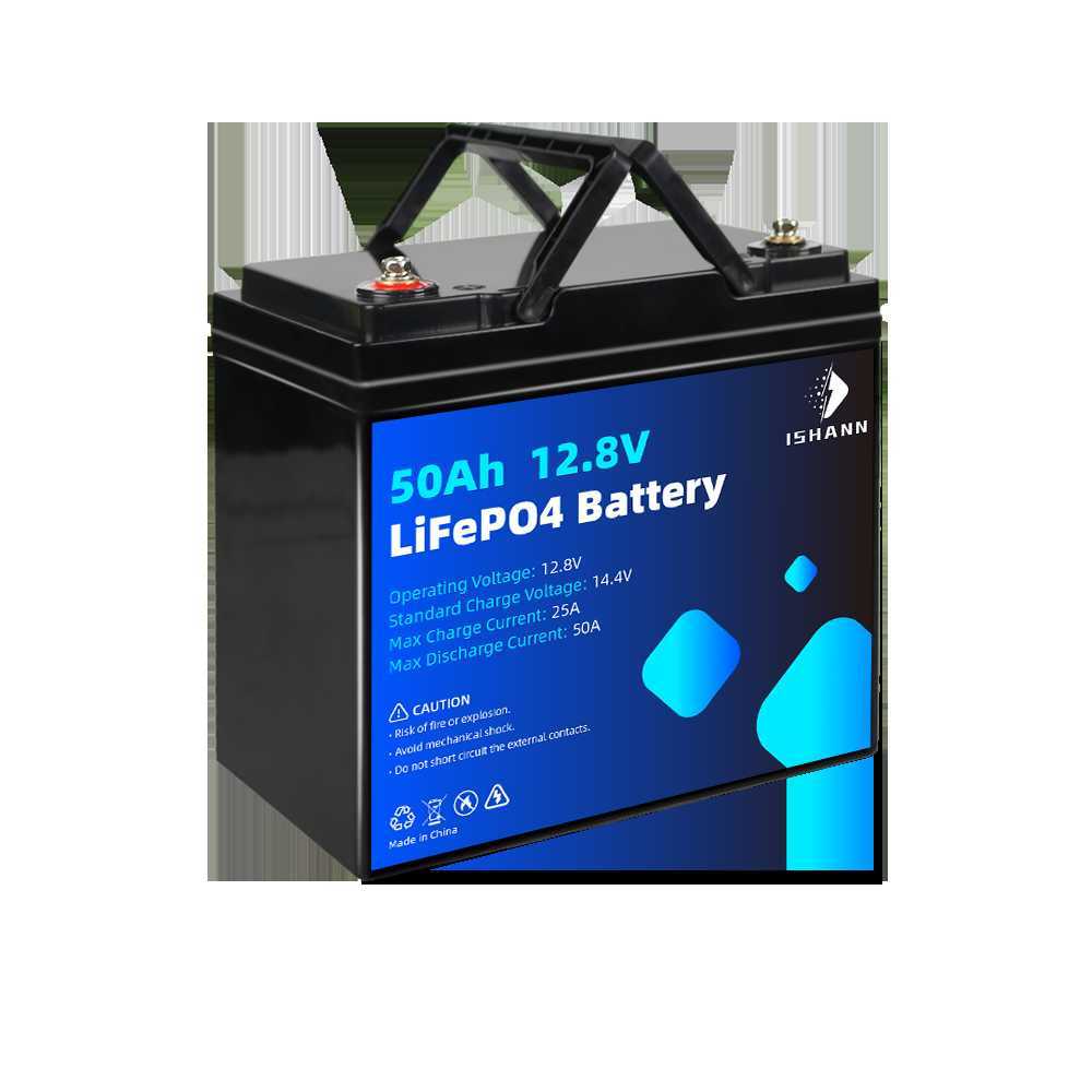 Nytt LIFEPO4 Batteri 12V 24V 50AH 100AH ​​200AH LITIUM IRON FOSFATPaket Inbyggt BMS för golfvagn Kid Scooters Boat Motor Cell