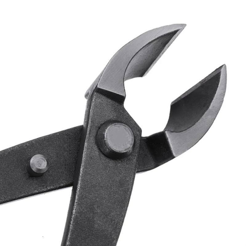 Other Hand Tools 210mm Garden Branch Cutter Forged Steel Round Edge Beginner Scissors LNIFE Bonsai High Quality Convenient Tool 23298f