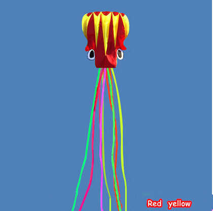 Kites Novo software de alta qualidade de alta qualidade de 5,5 m Power Kite com alça e linha Good Flying Factory Outlet 0110