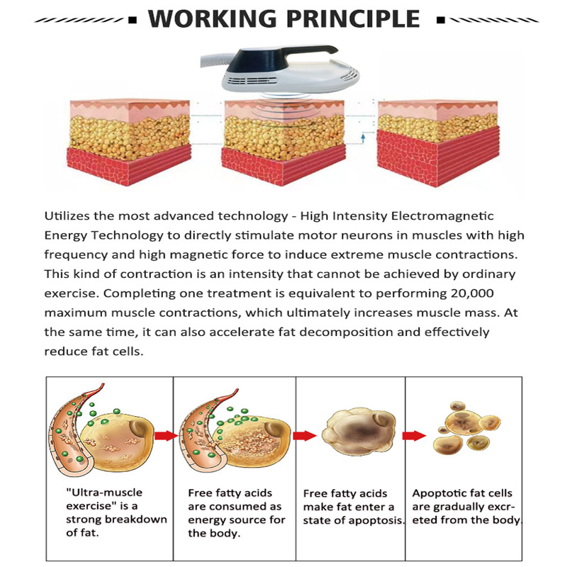 HIEMT minceur Machine élimination des graisses Stimulation musculaire professionnel EMSlim forme équipement de beauté du corps 4 poignées de travail traitement