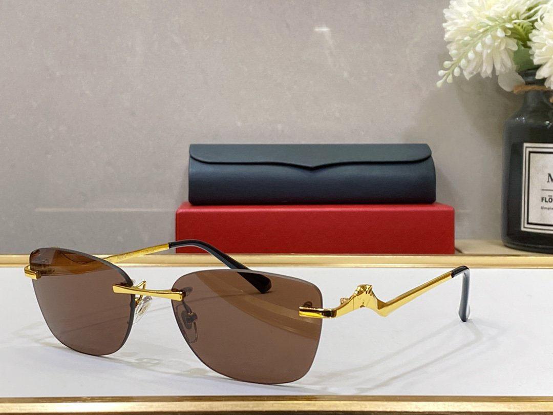 Polarized UV400 Designer Homme Femme Lunettes de soleil Mode Lunettes de soleil Hommes Femmes Unisexe Lunettes Plage Été Parasol avec Panthère Irrégulière Cadres Lunettes Étui Noir