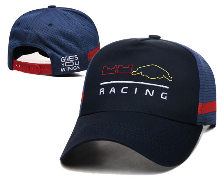 2024 Nieuwe F1 Kampioen Cap Cap Formule 1 Team Driver Racing Caps Mannen Vrouwen Casual Gebogen Rand Baseball Cap Zomerhoed Geborduurde Cap