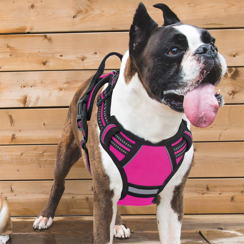 Pet dog leashes chest strap vest type small, medium and large dog traction rope