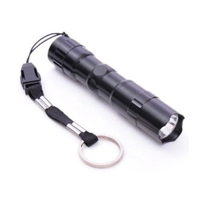 뜨거운 실외 장비 판매 블랙 3W 방수 LED 미니 손전등 백색 라이트 야외 스포츠 여행 램프 키 체인 손전등 횃불 aLkingline