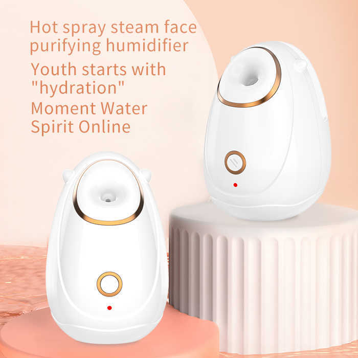 Ansiktsångare Hot Spray Instrument Liten fuktgivande föryngring Hem Beauty Nano Hydrating Face Steam 230801