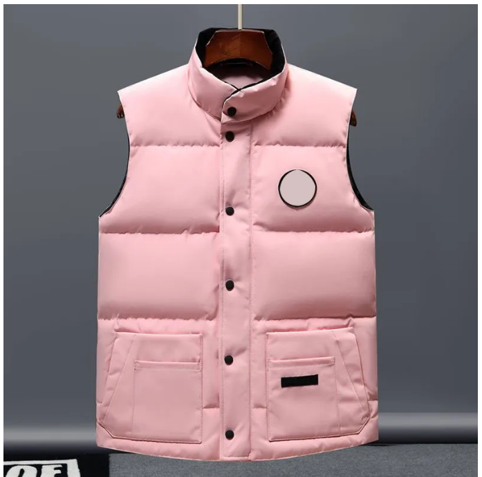 Giacca da design da uomo gilet gilet lussuoso giubbotto donna giubbotto piume piena cappotto grafite grigio bianco blu pop coppia da uomo coppia di cappotto Cold