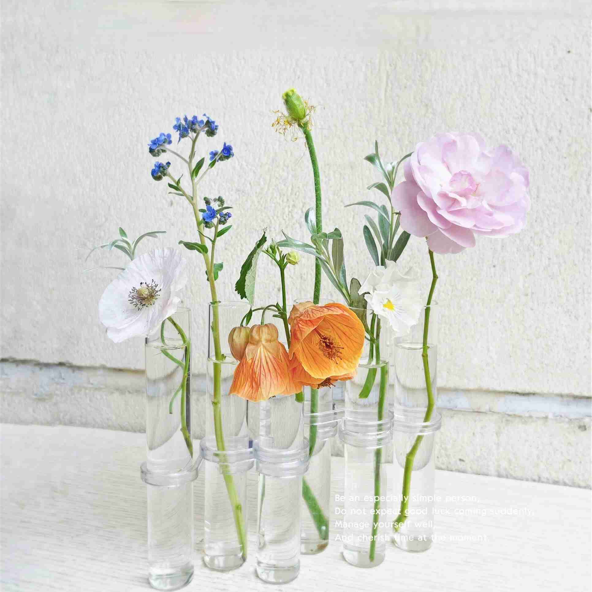 Klar glasvasrör Set Hanging Flower Holder Plant Container Flower Vases For Homes Room Decor HKD230810