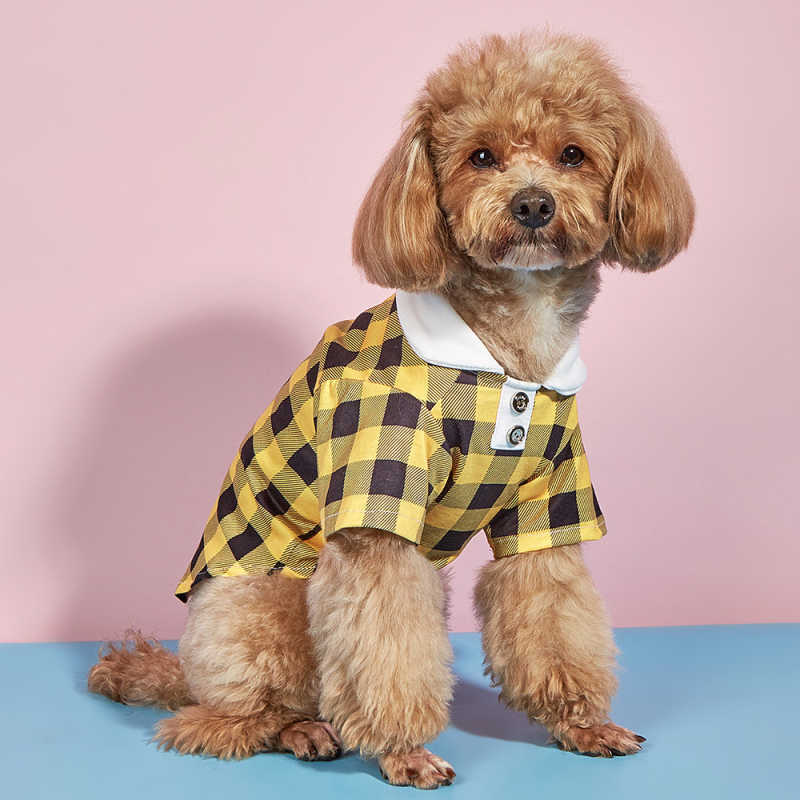 Fashion Cat Dog Shirt Summer Pet Vêtements Chihuahua Apparel Yorkshire Shih tzu Maltais Poodle Vest en gros chiot de chien Hkd230812