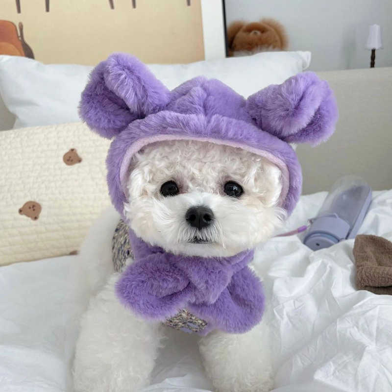Envoyer un chapeau Autumn Warm Pet Dog Dog Dogs Winter Plux Cat Cat Veste de chien Fashion Schnauzer Teddy Corgi Clothing Pet Supplies Accessoires HKD230812