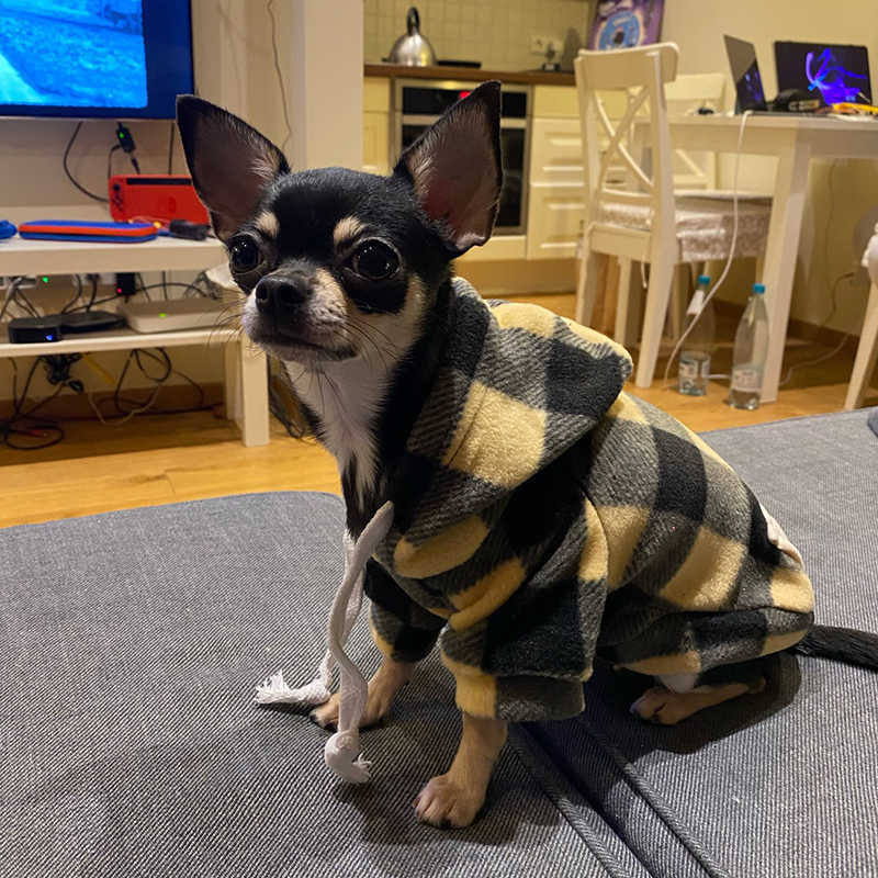 冬の温かいペット犬の服ソフトウールの犬のフーディー小犬用衣装Chihuahua Pug Seater Clothing Puppy Cat CoatジャケットHKD230812