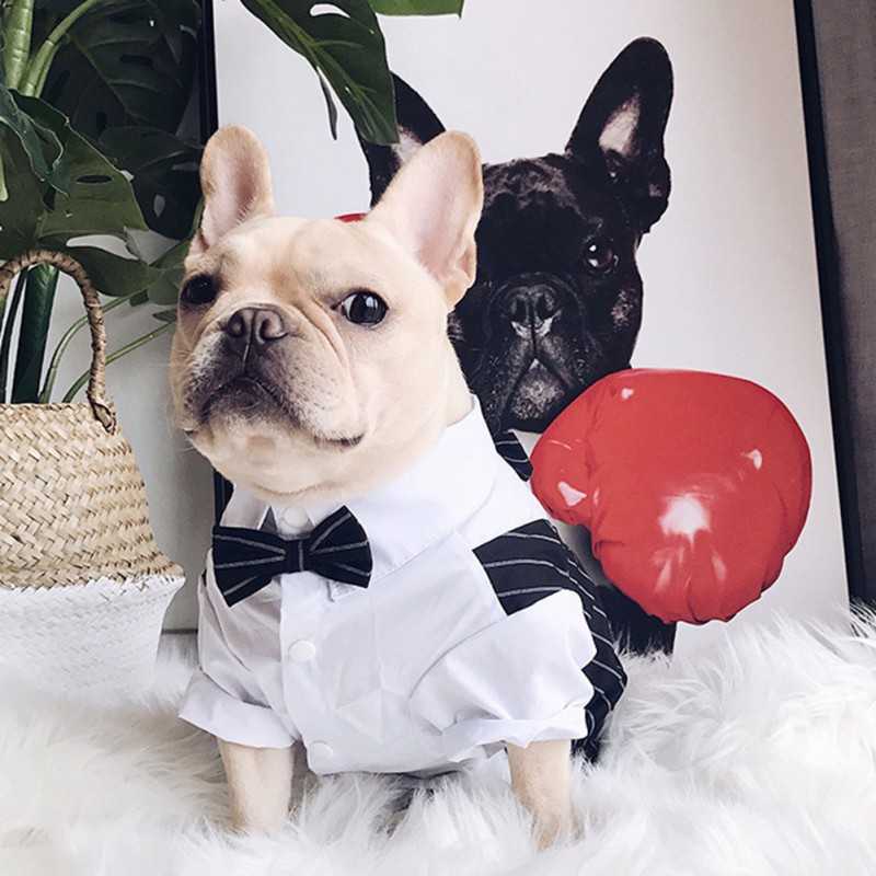 Hundskjorta husdjur små hundkläder stilig kostym båge bröllop skjorta kostym formell smoking med fluga katt valp bulldog kläder hkd230812