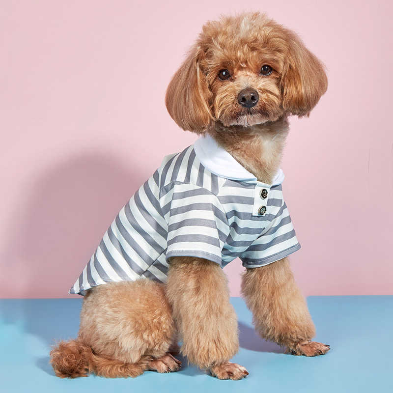 Fashion Cat Dog Shirt Summer Pet Vêtements Chihuahua Apparel Yorkshire Shih tzu Maltais Poodle Vest en gros chiot de chien Hkd230812