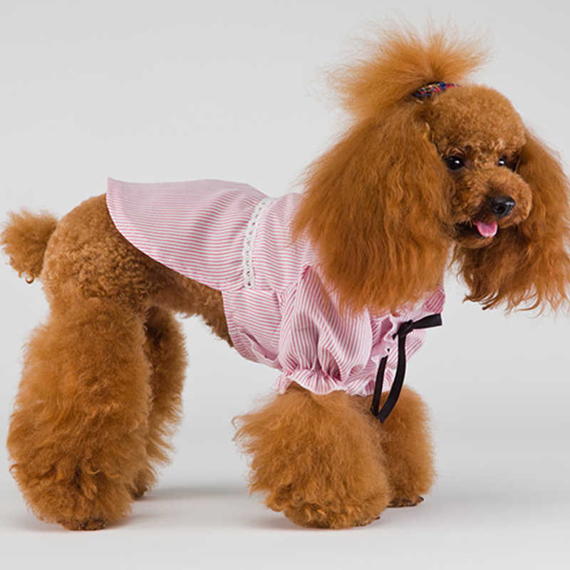 2021 Moda Blush Bush Sleeve Bowknot Dog Cats Roupas Camisa coreana de tira para cães médios de cães fofos fantasia de animais de estimação HKD230812