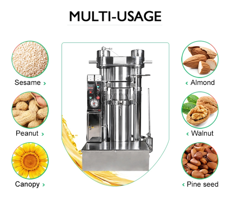 Electric Oil Extractor Automatisk oljepress Maskin kommersiell användning Sesame Canola Sunflower Seeds Peanuts Walnuts Oil Maker Machine