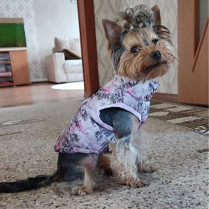 Roupas de cachorro para cães pequenos yorkia mini chihuahua roupas de cachorro casaco de gato de inverno para pug filhote de cachorro sphynx Pets Apparel hkd230812