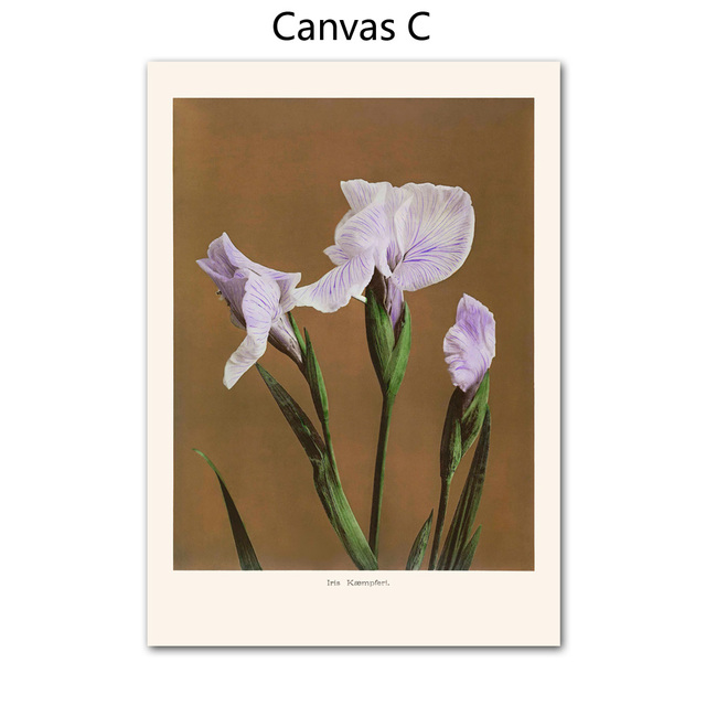 Canvas målning peony iris kaempferi nordiska blommande blommor affischer och tryck modern växt väggkonst vardagsrum tjej sovrum hem dekoration wo6