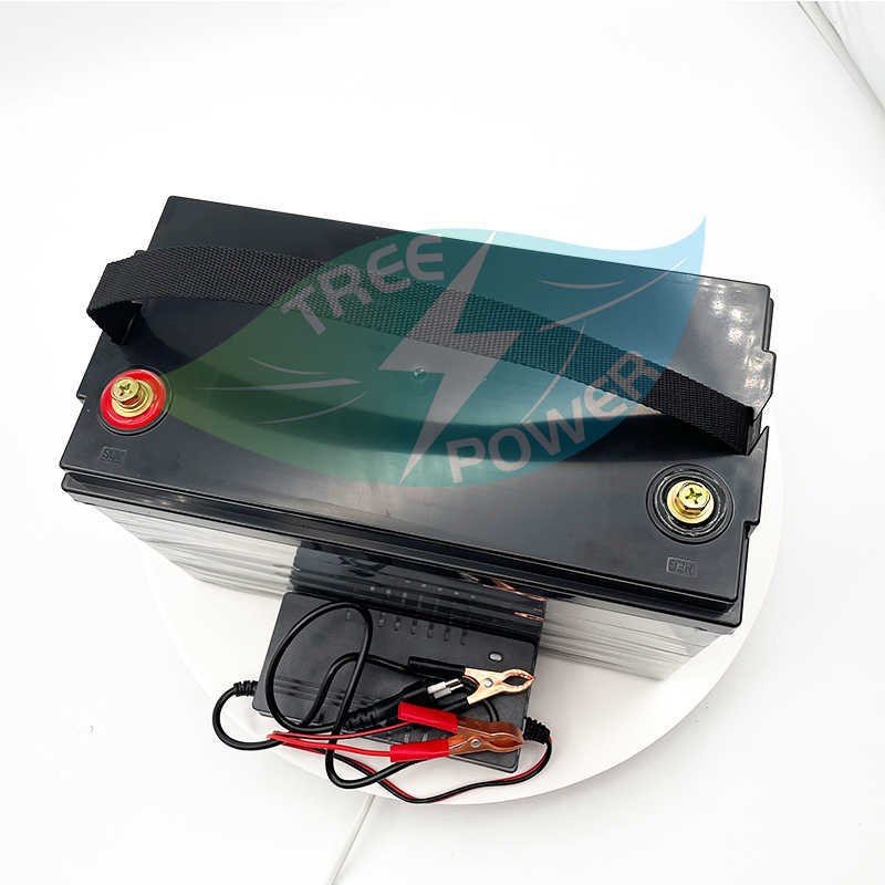Wasserdicht 36 V 60AH LifePo4 Batterie mit BMS für 1500W Roller -Fahrrad Dreirad Solar Backup Power Golf Cart +5A Ladegerät