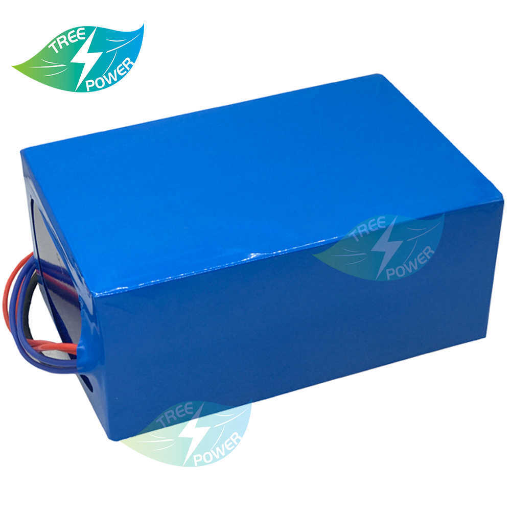 Rechargeable 60V 80AH Li-ion battery with BMS for 3000W 4800W 6000W scooter Electric tricycle motorcycle vehicle+10A charger