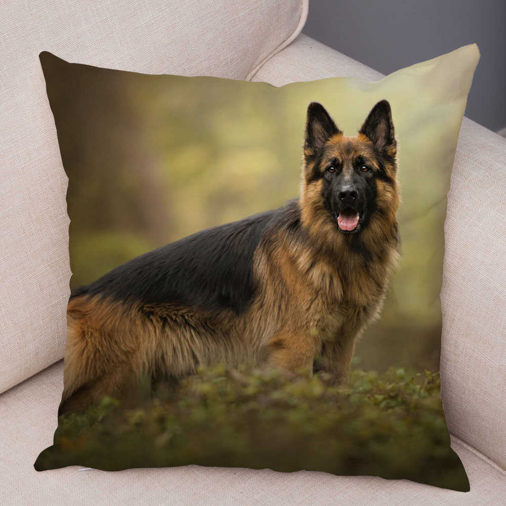 Kuddefodral Shepherd Dog Print Mönsterväska Polyester Kudde täcker hemmet vardagsrum soffa dekoration fall husdjur djurfodral hkd230817