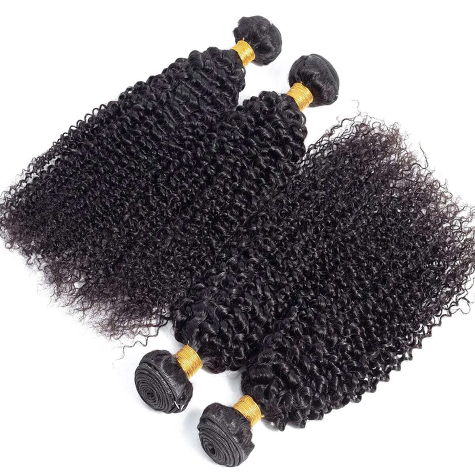 Indian Kinky Curly Bündel menschliches Haar weben natürliche Farbe 1