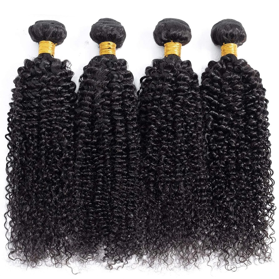 Indian Kinky Curly Bündel menschliches Haar weben natürliche Farbe 1