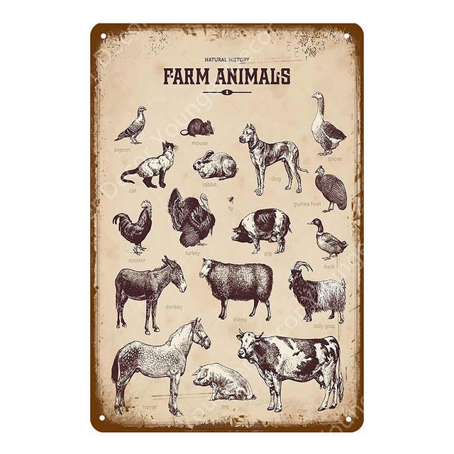 Market Fresh Eggs Metal Sign Shop Cafe Cafe Decorazioni la parete Home MOLMA Farm Animals Vintage Poster Happy Chicken Polque Painting Metal Metal Farm Poster Poster carino 30x20cm W01