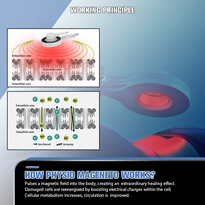 Impulsion électromagnétique PMST physiothérapie soulagement de la douleur physiostimulateur fermeture des plaies réparation des tissus dispositif à effet anti-inflammatoire avec FDA