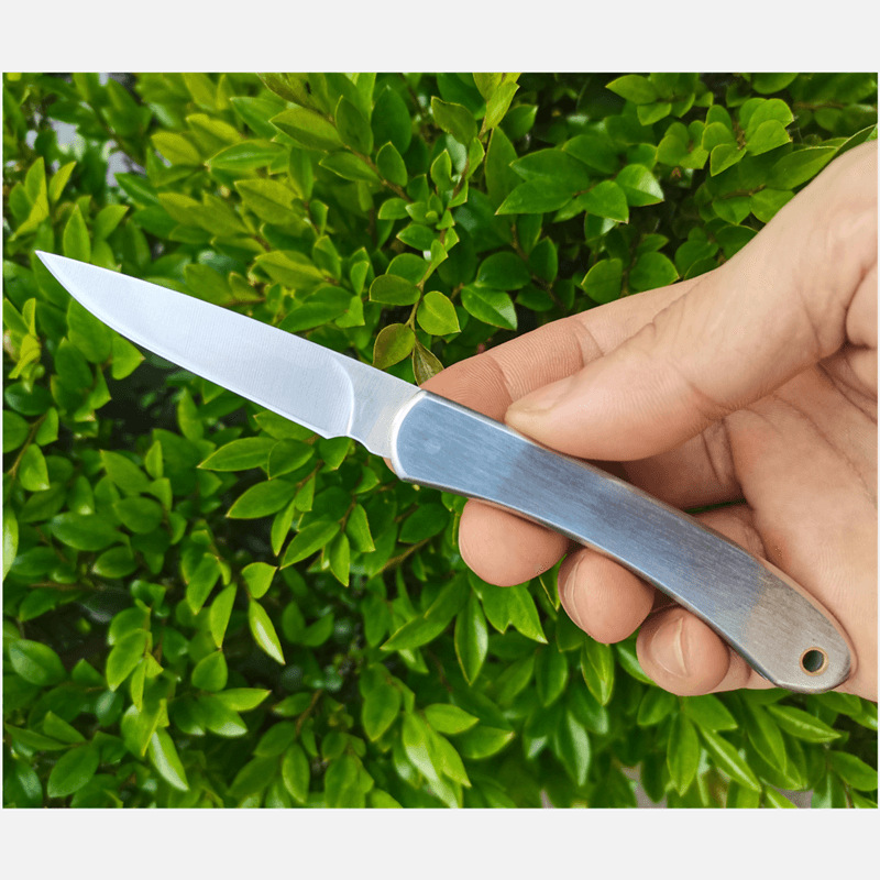 YL H2371 Pocket Vouwmes 3CR13MOV Satin Blade Roestvrijstalen handvat Outdoor Camping Wandel Fruit Knives