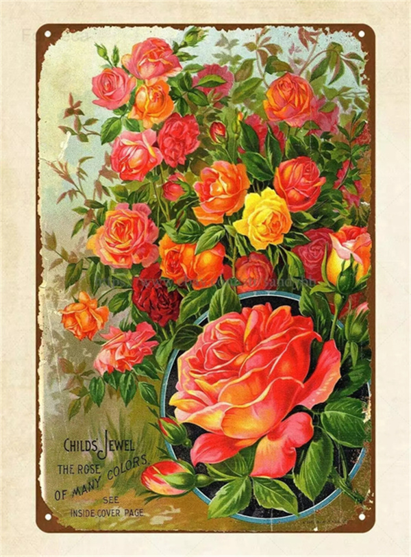 Fruits Légumes Fleur art peinture Vintage Tin Sign Plantes Métal Signe Jardin Supermarché Living Home Cuisine Décoration Mur Art Plaques Taille 30X20CM w02