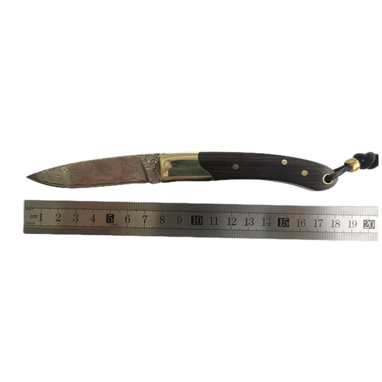 YL H2374 Folding Blade Fruit Knife 67 Layers VG10 Damascus Steel Blade Ebony wtih Brass Handle Outdoor Camping Hiking EDC Pocket Folder Knives