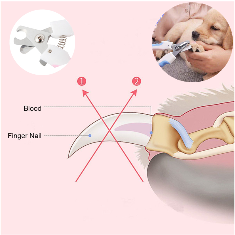 Professionella små djurförsörjningar Pet Nail Clipper med LED Light Pet Claw Scissors Undvik över skärning för hundkatter RL531