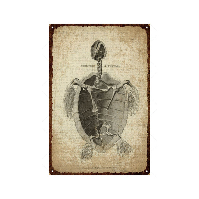 Signe de tortue Vintage en métal, affiche en étain, décor de pièce drôle, plaque d'affiche, animaux pour Bar, cuisine, Club, homme, grotte, décoration murale personnalisée, taille 30x20cm w01