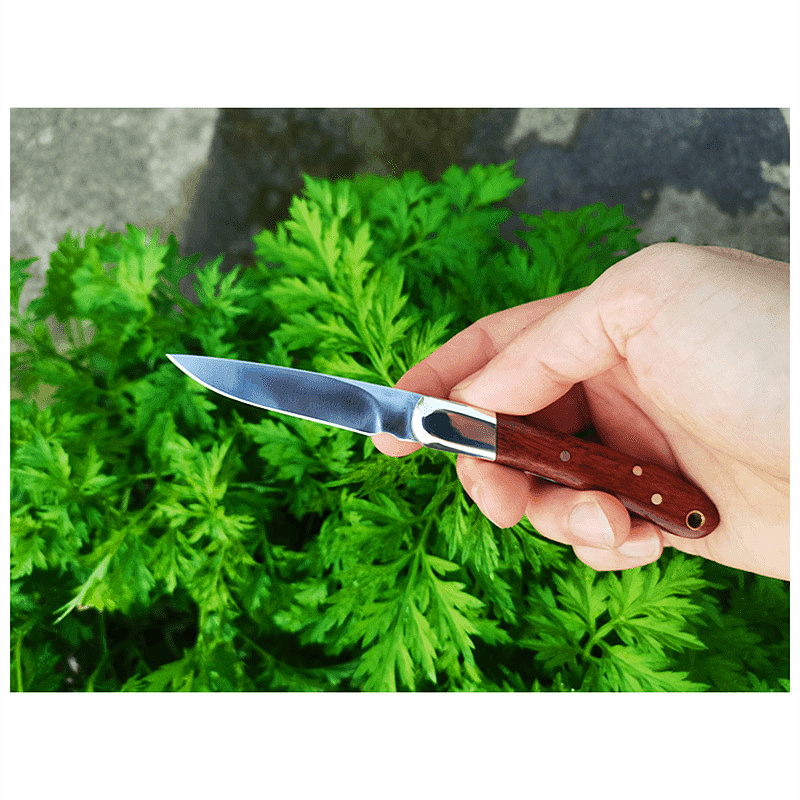 Высококачественный H6882 Кухонный складной фруктовый нож 420C Сатиновый лезвие дерево с латуниной головкой ручка небольшие карманные ножи для кармана EDC