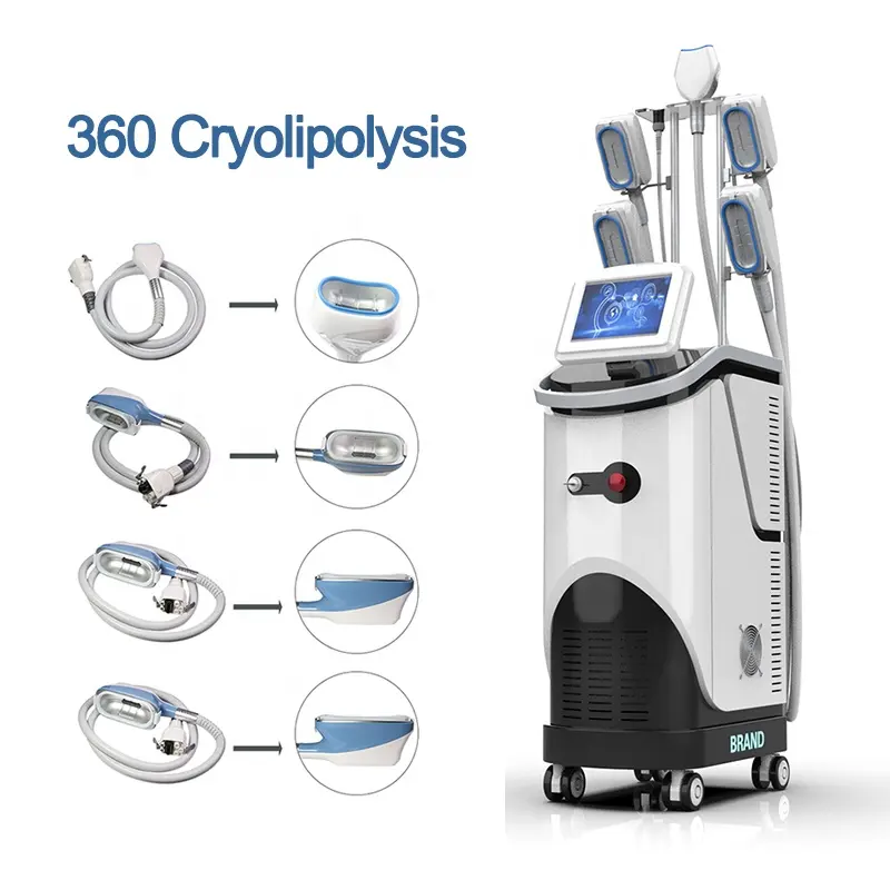 Articles de beauté 360 Cryolipolyse réduction de la cellulite corps frais sculptant la cryolipolyse amincissant la machine/machine de cryolipolyse de gel de graisse