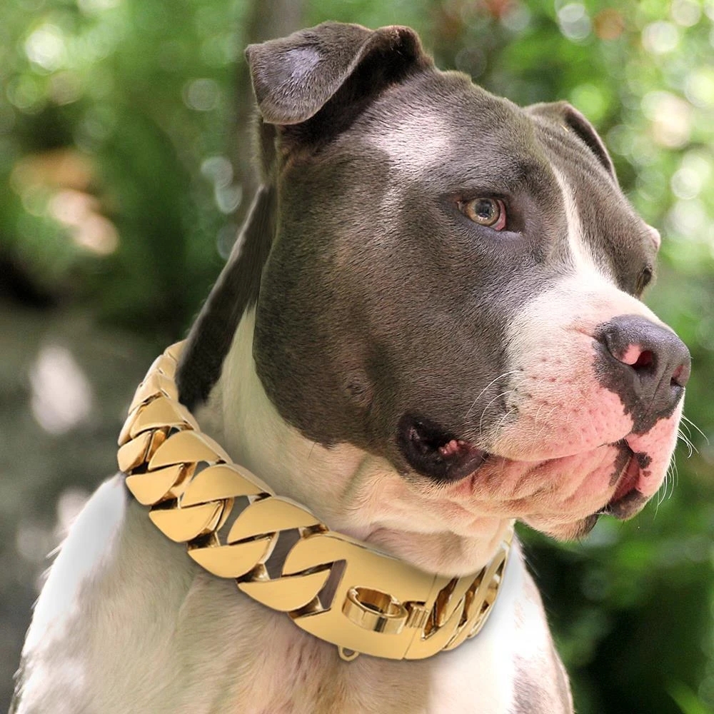 Miami chaîne cubaine colliers pour chiens de compagnie colliers ras du cou Pitbull Bulldog chiens de taille moyenne et grande Pitbull or argent noir chien lourd et résistant D294x